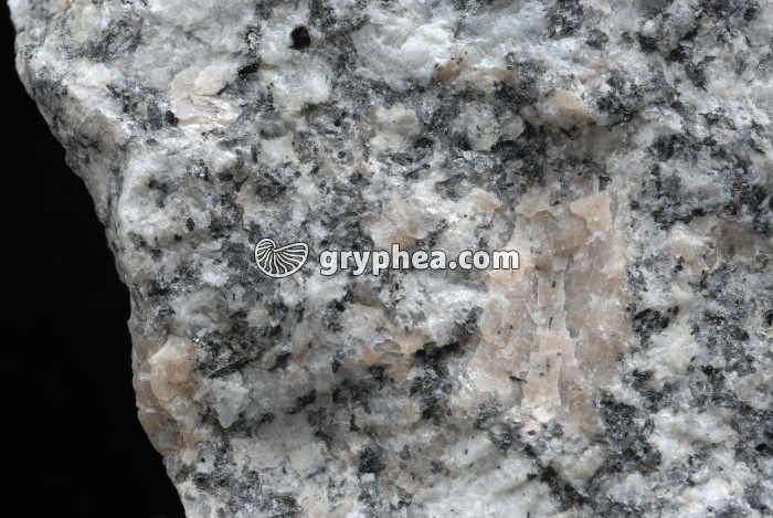 Granite intrusif sain (Flamanville, Manche) - gryphea.com